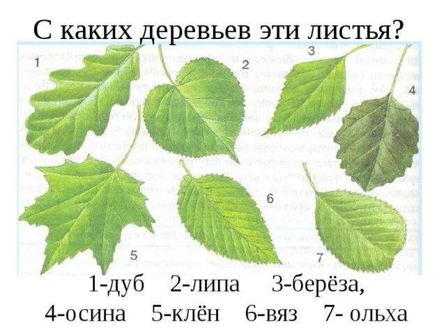Подн лись