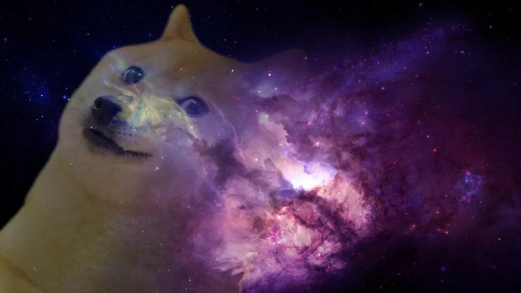 Собака доги мем. Сиба ину хатико. Заставка на рабочий стол кот. Сиба-ину doge. Doge 900x900.