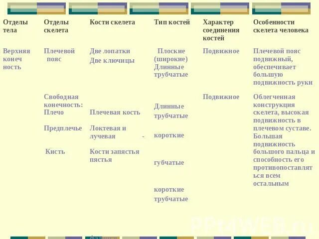 Отдел скелета особенности строения функции. Таблица отделы тела отделы скелета кости скелета. Биология 8 класс отделы тела отделы скелета кости скелета. Таблица по биологии 8 класс отделы тела отделы скелета кости скелета. Отделы тела туловище таблица.