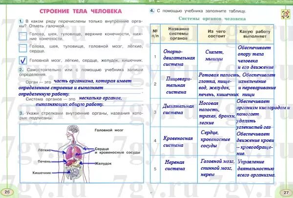 Окружающий мир 3 класс организм человека таблица система органов. Система органов человека 3 класс окружающий мир Плешаков. Строение тела человека 3 класс окружающий мир рабочая тетрадь. Таблица строение тела человека 2 класс окружающий мир Плешаков.