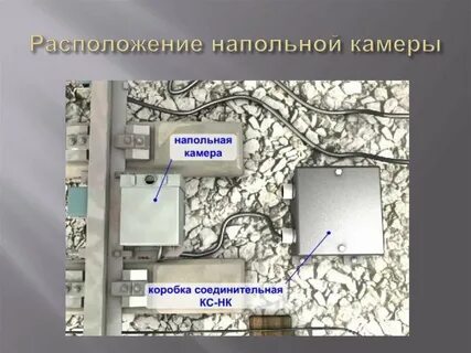 Пола камера