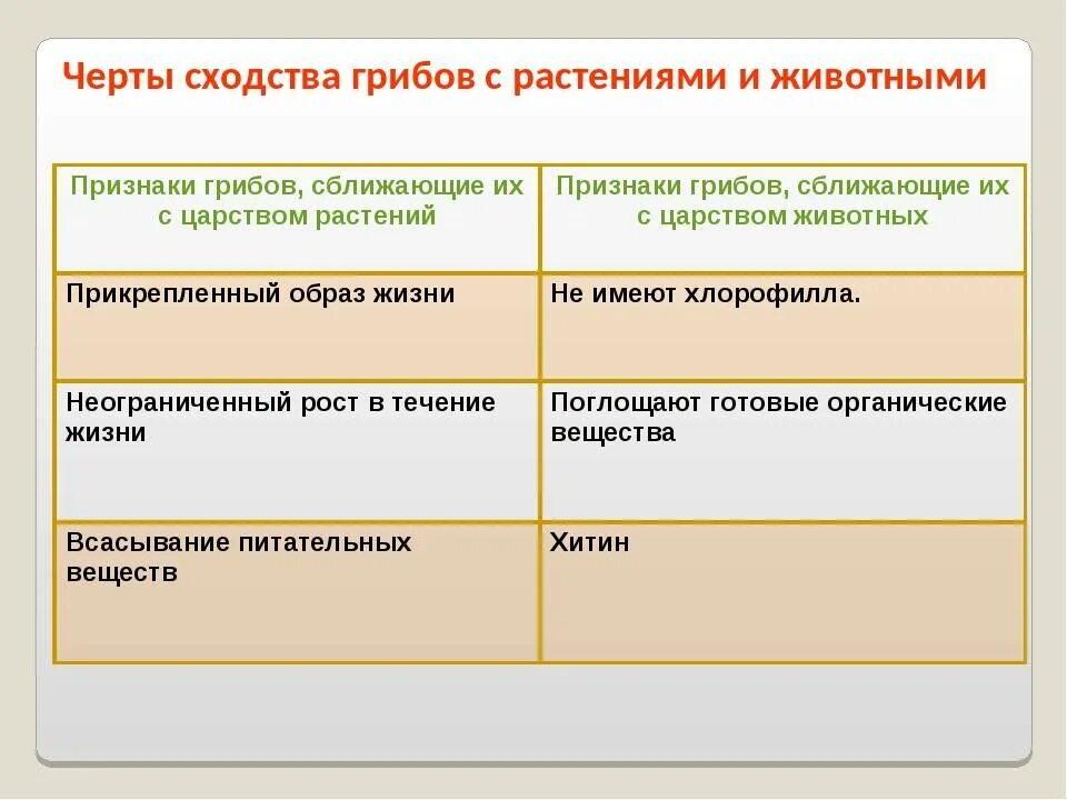 Назовите сходства. Сходство грибов с растениями и животными таблица 9 класс. Сходство грибов с растениями и животными таблица 7 класс. Общие признаки грибов таблица. Таблица по биологии 5 класс сходство грибов с растениями и животными.