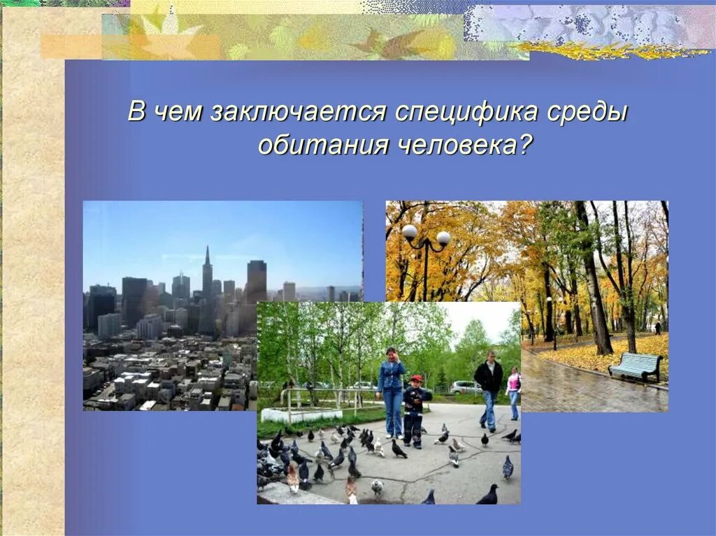 Люди территории среда обитания. В чем заключается специфика среды обитания человека. адаптация к условиям окружающей среды. комфортная среда обитания человека. специфика окружающей среды человека.
