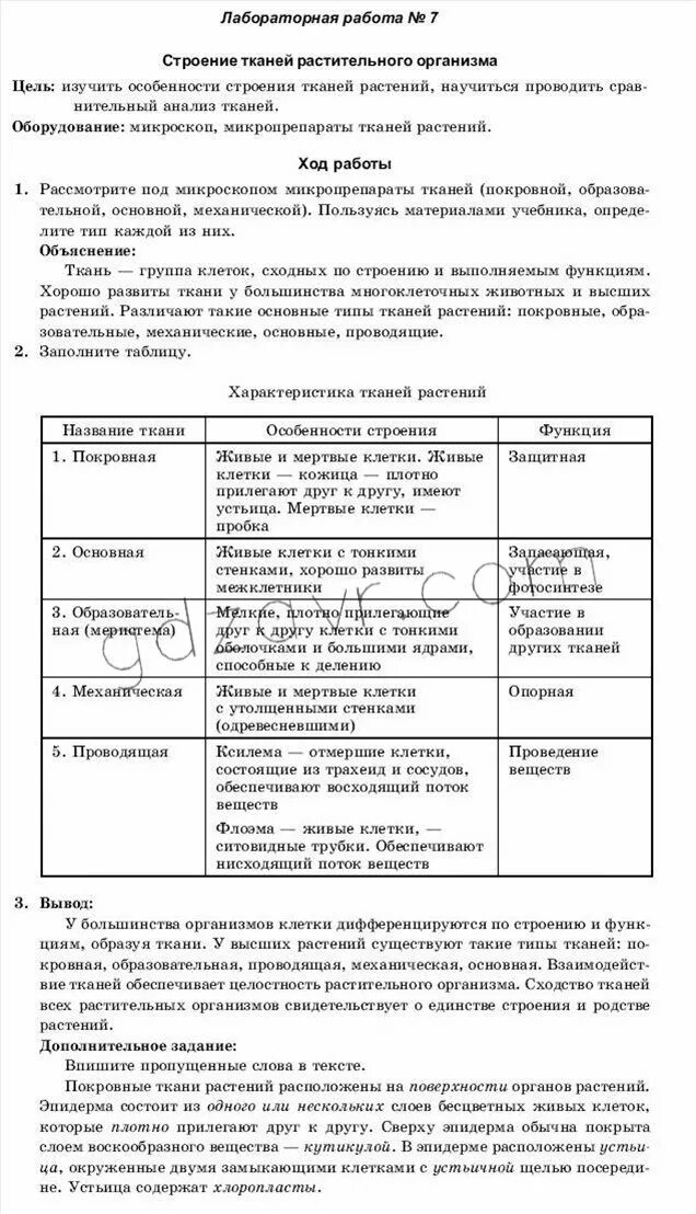 Строение тканей растений лабораторная работа. Лабораторная работа ткани. ткани растений лабораторная работа. лабораторная работа по биологии ткани. лабораторная работа изучение тканей растений и животных.