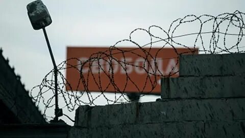 Амнистия заключенных