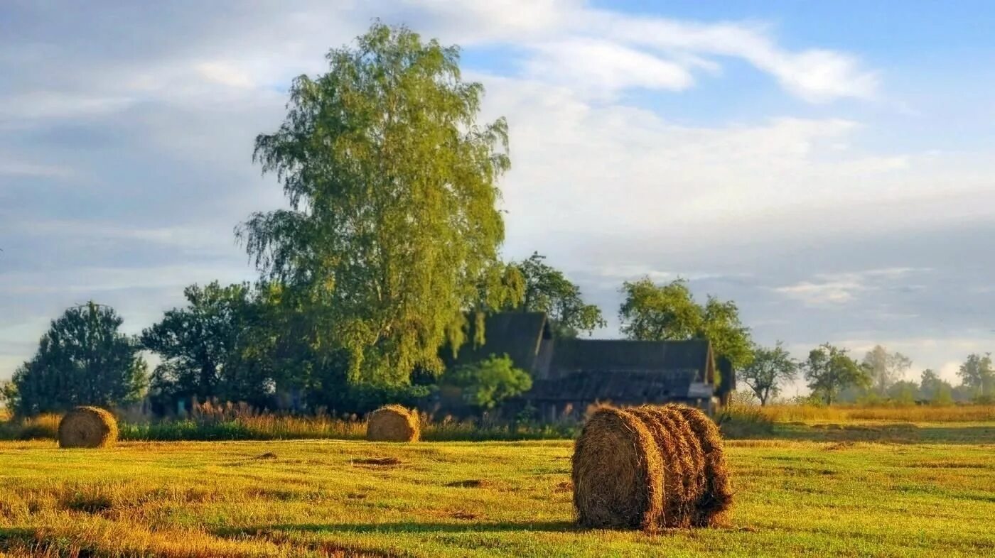 Картинки конца лета. Август природа. Августовский пейзаж. Август пейзаж. Летний пейзаж.