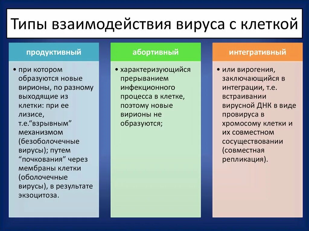 Каков принцип взаимодействия вируса и клетки кратко. Типы взаимодействия вируса с клеткой. иипы взаимодействия вирусов склеткй.