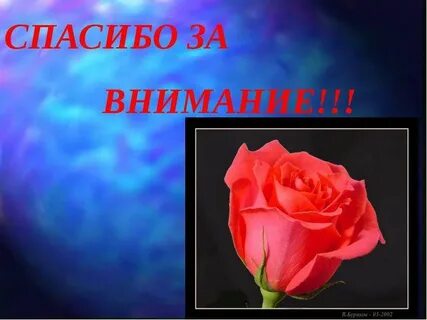 Спасибо за внимание растения