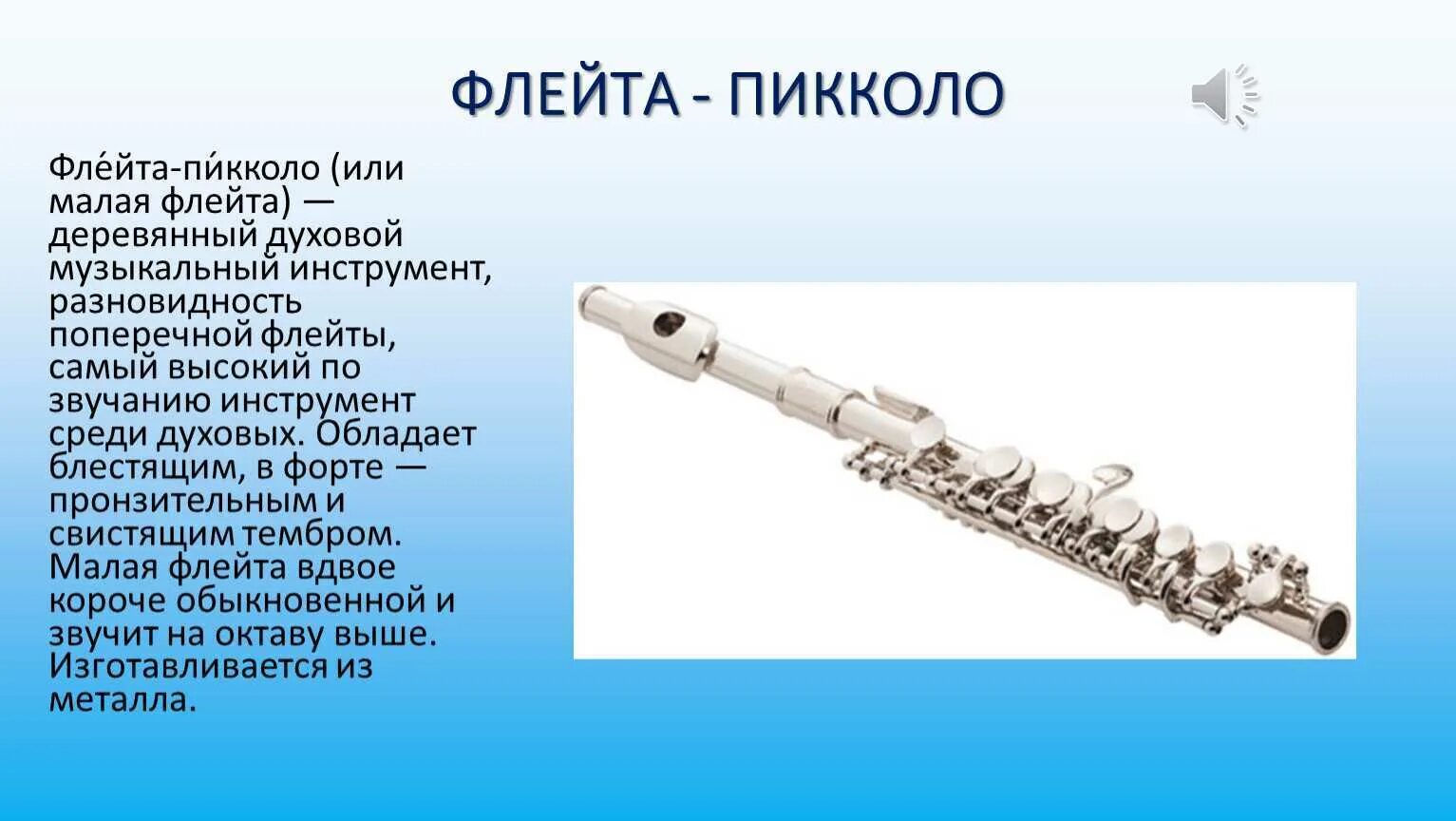 Музыка музыкальные инструменты флейта. Флейта-Пикколо деревянный духовой музыкальный инструмент. Флейта-Пикколо флейта деревянные духовые музыкальные инструменты. Проект духовой инструмент Свирель. Флейта Пикколо строение.