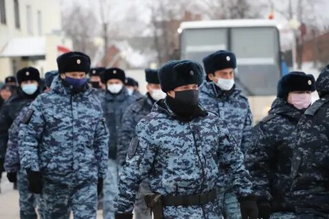 Командировка на северный кавказ