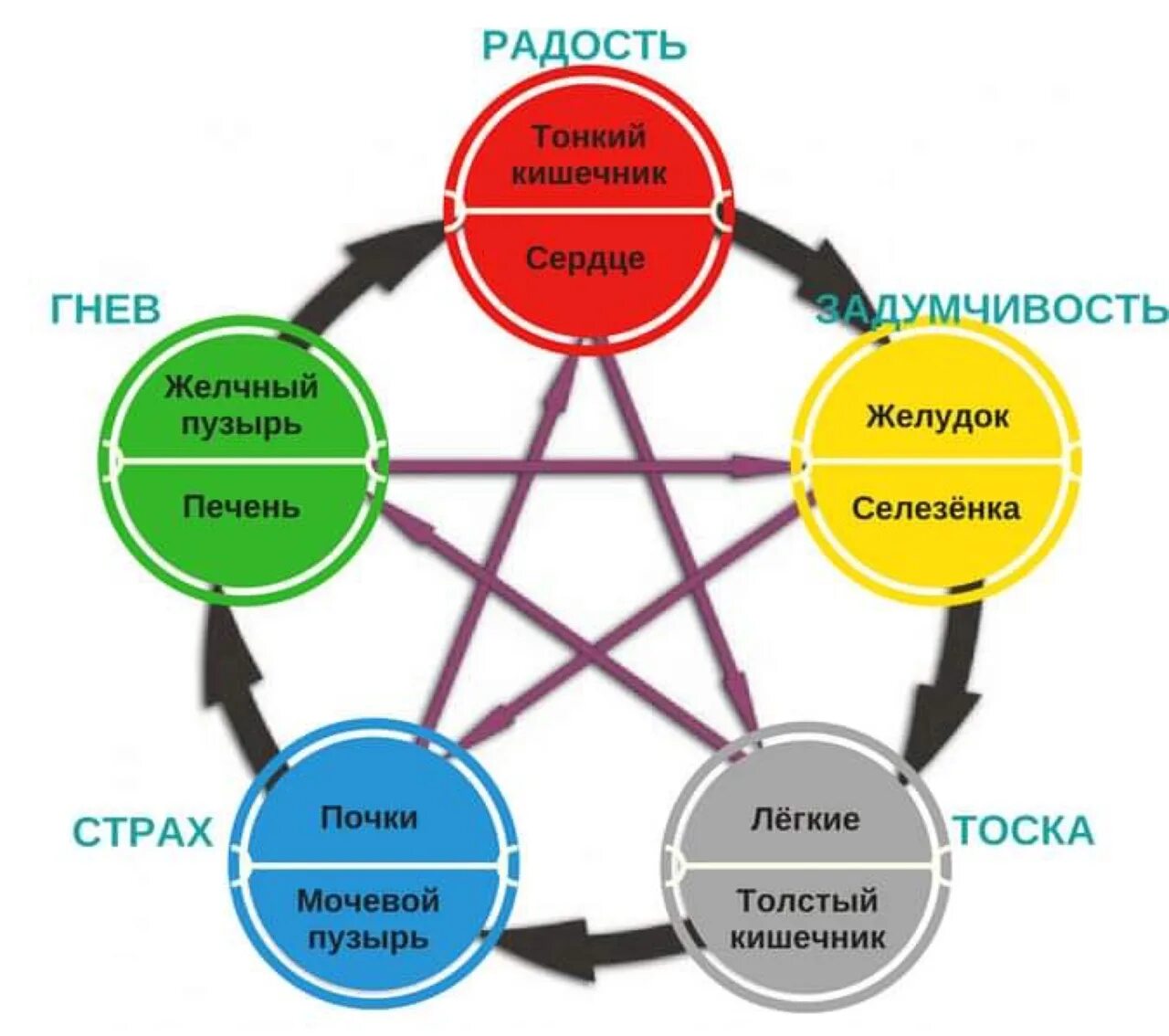 Связи друг с другом использовать. Схема воздействия негативных эмоций. Органы и эмоции взаимосвязь. Эмоции и внутренние органы взаимосвязь. Взаимосвязь организма с эмоциями человека.