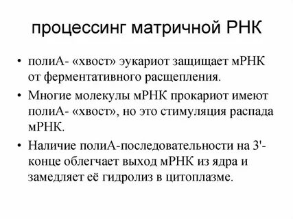 Этапы процессинга мрнк