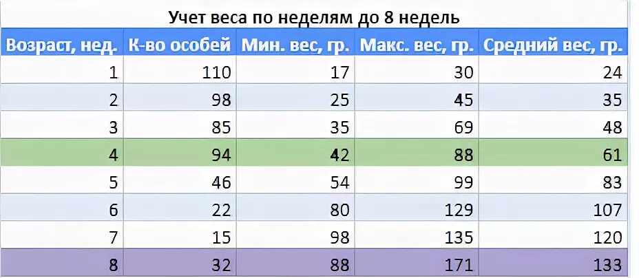 Вес дегу по месяцам. Нормальный вес дегу. Вес дегу таблица. Вес дегу по возрасту. Сколько весит один белок