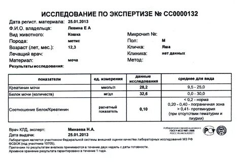 Креатинин в моче кота