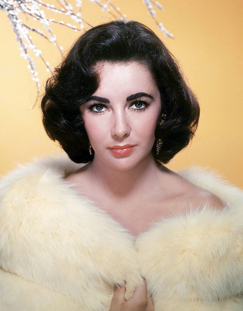 Элизабет тейлор волосатость. Про элизабет тейлор. Элизабет тейлор. Лиз тейлор актриса. Элизабет тейлор фото.