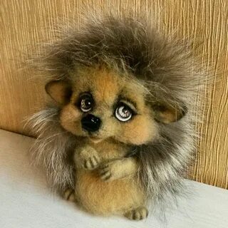 Собака домовой