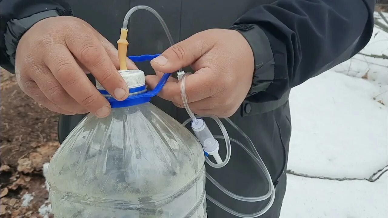 Березовый сок с помощью капельницы. Сбор берёзового сока через капельницу. сбор березового сока с помощью капельницы. капельница для сбора березового. собирать березовый сок с помощью капельницы.