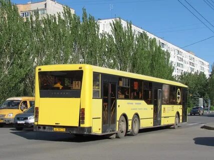 Автобус 263 спб