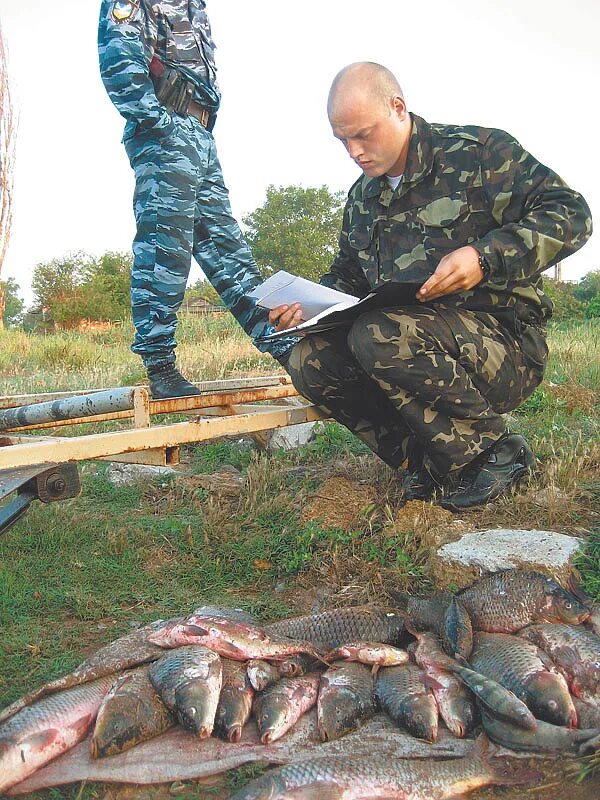 Рыбалка на канале в Крыму. Рыбалка в Крыму 2014. Крымские рыбаки. Запрет рыбалки на волге