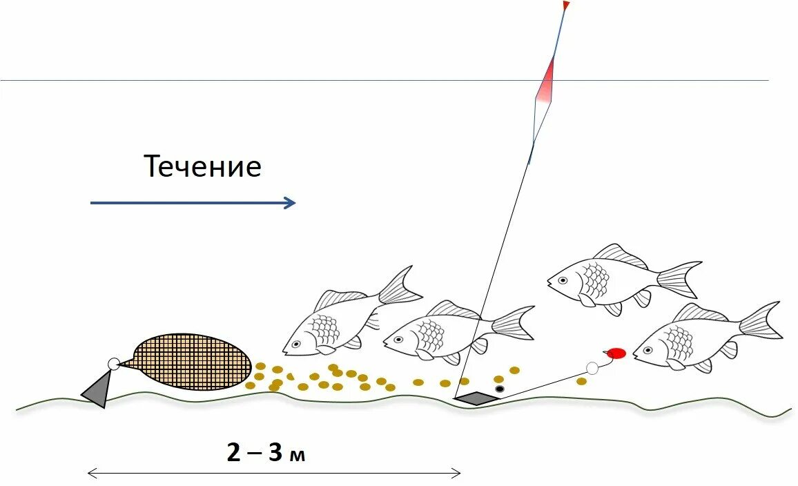 Чехонь на фидер оснастка. Схема монтажа донки. Фидер донка оснастка. Оснастка донной снасти на леща.