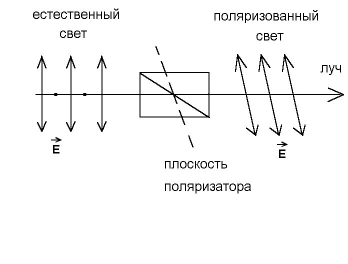 Поляризация рисунок. Поляризованный свет схема. Поляризация света схема. Эллиптически поляризованный свет схема. Поляризатор прибор.