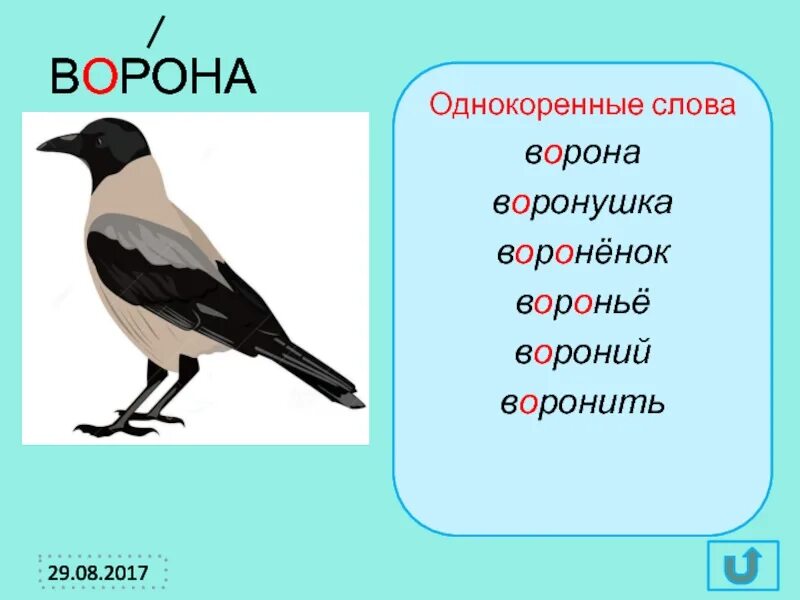 Составь слова ворона. Скороговорка про ворону. Словарная работа ворона. Ворон однокоренные слова. Ворона предложение 1 класс.