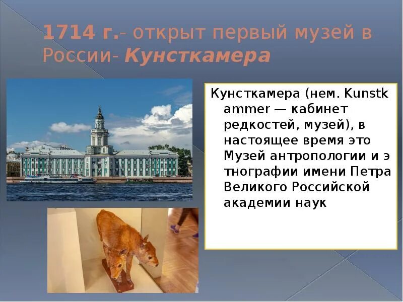 Кунсткамера сообщение кратко. Кунсткамера 1714. кунсткамера санкт-петербург при петре 1. сообщение про музей кунсткамера в санкт-петербурге. кунсткамера санкт-петербург описание для 2 класса.