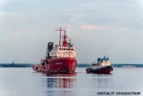 нефтегазы суда