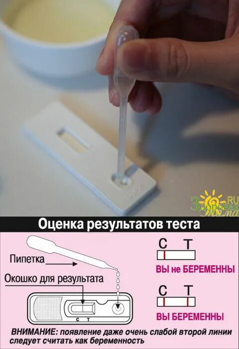 Как делать тест на беременность инструкция. Как правильно сделать тест на беременность. как делать тест на беременность. как правильно делать тест на беременность. как правильно делать тест.