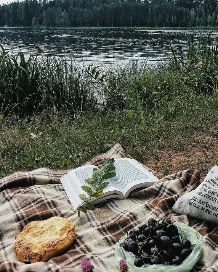 Озеро пикник. Пикник у реки Джапаридзе. Пикник у реки Сочи Джапаридзе. Пикник у озера. Пикник на природе.