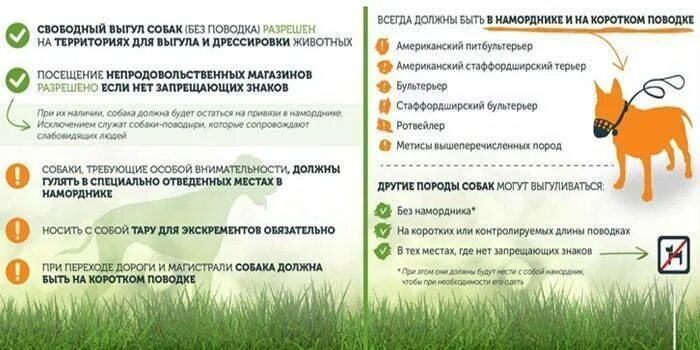 Выгул собак в общественном месте закон. Выгул собак. закон о выгуле собак. правила выгула домашних животных. правила выгула собак.