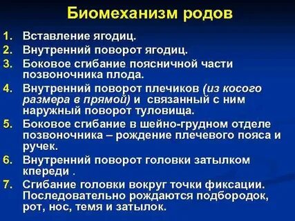 Механизм рода