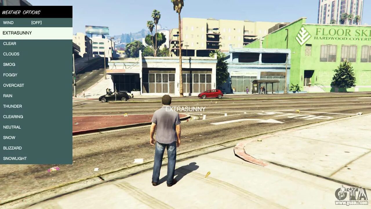 Community script hook v net