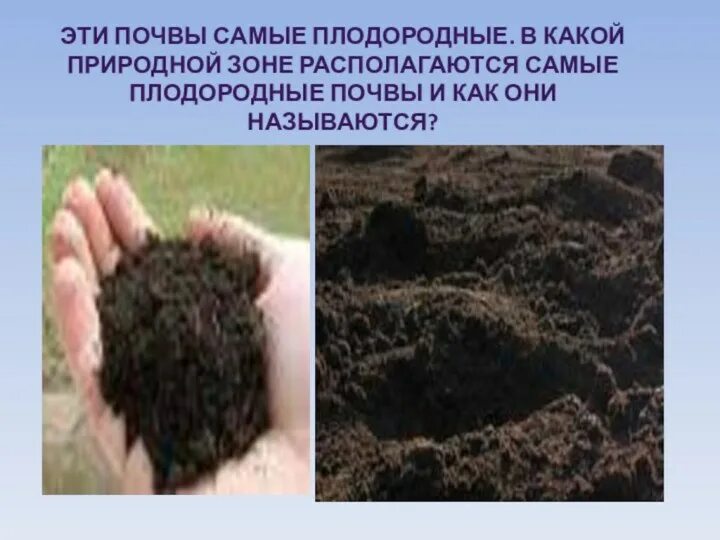 Решение загрязнения почвы. Типы плодородия почв. Самые не плодоролнве почвы. Тип почвы в степи. Это самые лучшие почвы нашей страны.