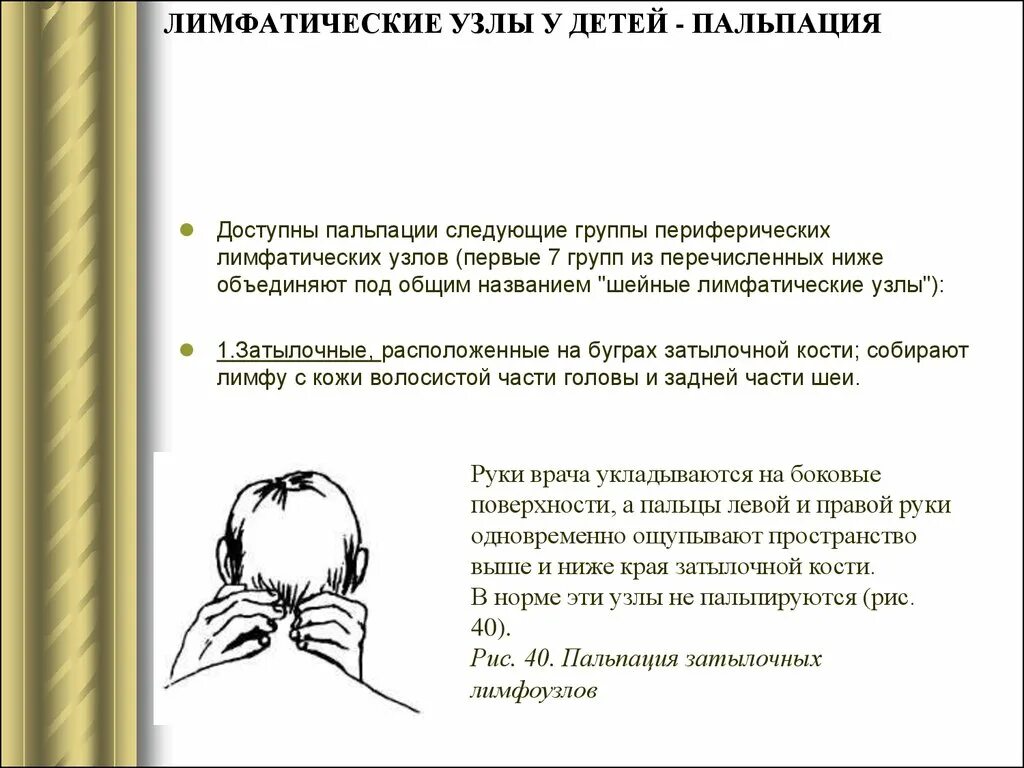 Лимфоузлы должны прощупываться. В норме пальпируются лимфатические узлы у детей. Какие лимфоузлы пальпируютс. В норме пальпируются лимфатические узлы. Пальпируемые лимфатические узлы в норме.