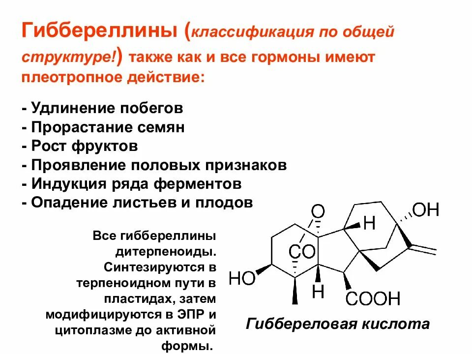 Фитогормоны действие. Гиббереллины гормоны растений. Гормон роста у растений Гиббереллины. Гиббереллины стимуляторы роста растений. Гиббереллины строение.