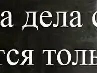 Прикольные надписи для врачей. Свиная голова это просто красиво. Одна девочка не любила молочную пенку. Другое дело свиная голова. Толи дело.