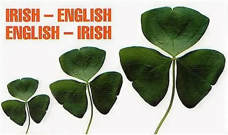 Irish english accent. Ирландский английский. Ирландский английский акцент. Шотландский диалект английского языка. Irish english accent.