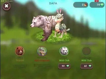 Вет вилд