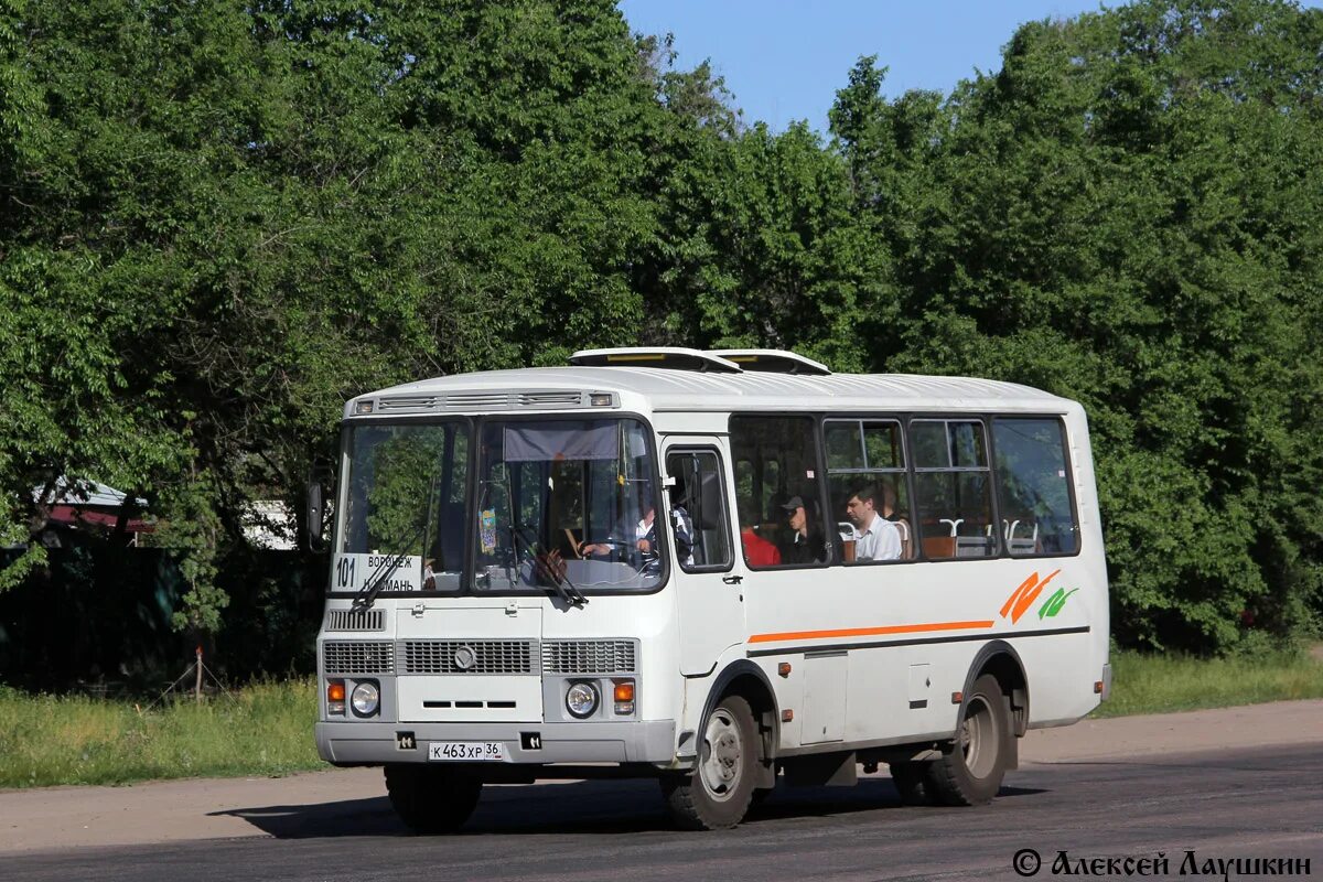 Паз 32054 воронежский. 66 маршрут воронеж. 306 автобус омск. Автобус 306в воронеж. Автобус липецк воронеж.