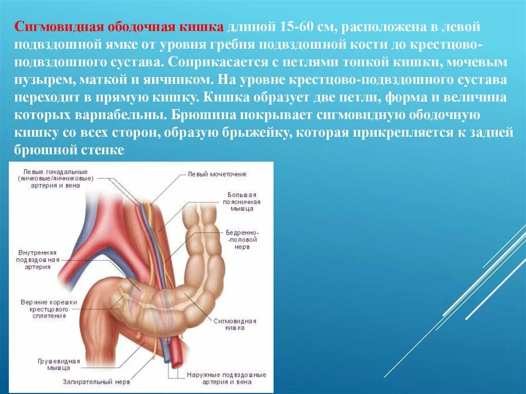 Ощущение в прямой кишке