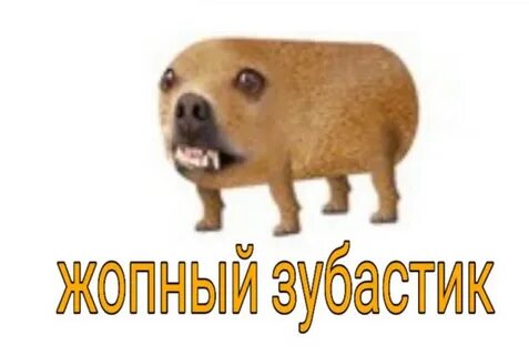 Гавкошмык