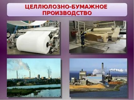 Бумажная промышленность центры