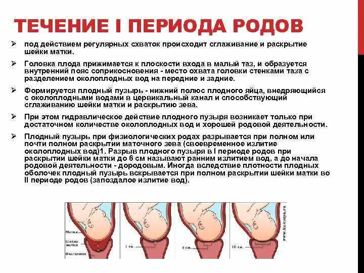 39 схватки нет