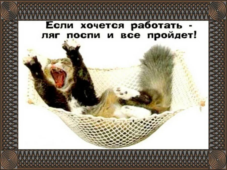 Если хочешь поработать ляг поспи и все пройдет. Спать юмор. Лягте их работа. Лягте их работа. Лягте их работа.