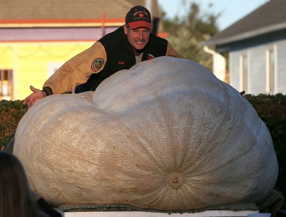 Про самую огромную