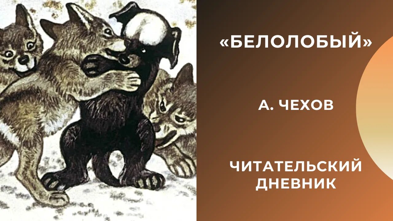 Содержание белолобый чехова. Дневник чтения Чехов белолобый. Рассказ белолобый. Белолобый читательский дневник.