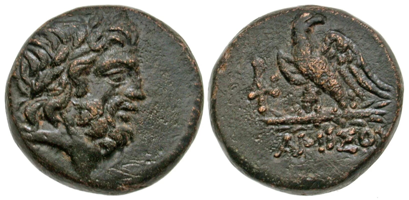 Старая монета форум античные. Античные монеты. Оловянные античные монеты. Античные монеты с птицами. Античные монеты с собакой.