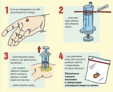 Как быстро извлечь клеща из тела