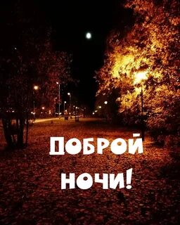 Картинка спокойной ночи осенняя приятная
